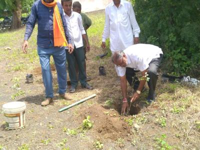 कानशिवनी उपबाजार येथे वृक्षारोपण