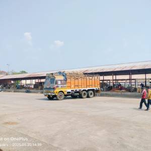 29_Tin_Shed_original