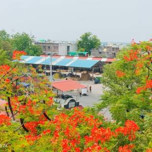 32_TMC_Sheds_original